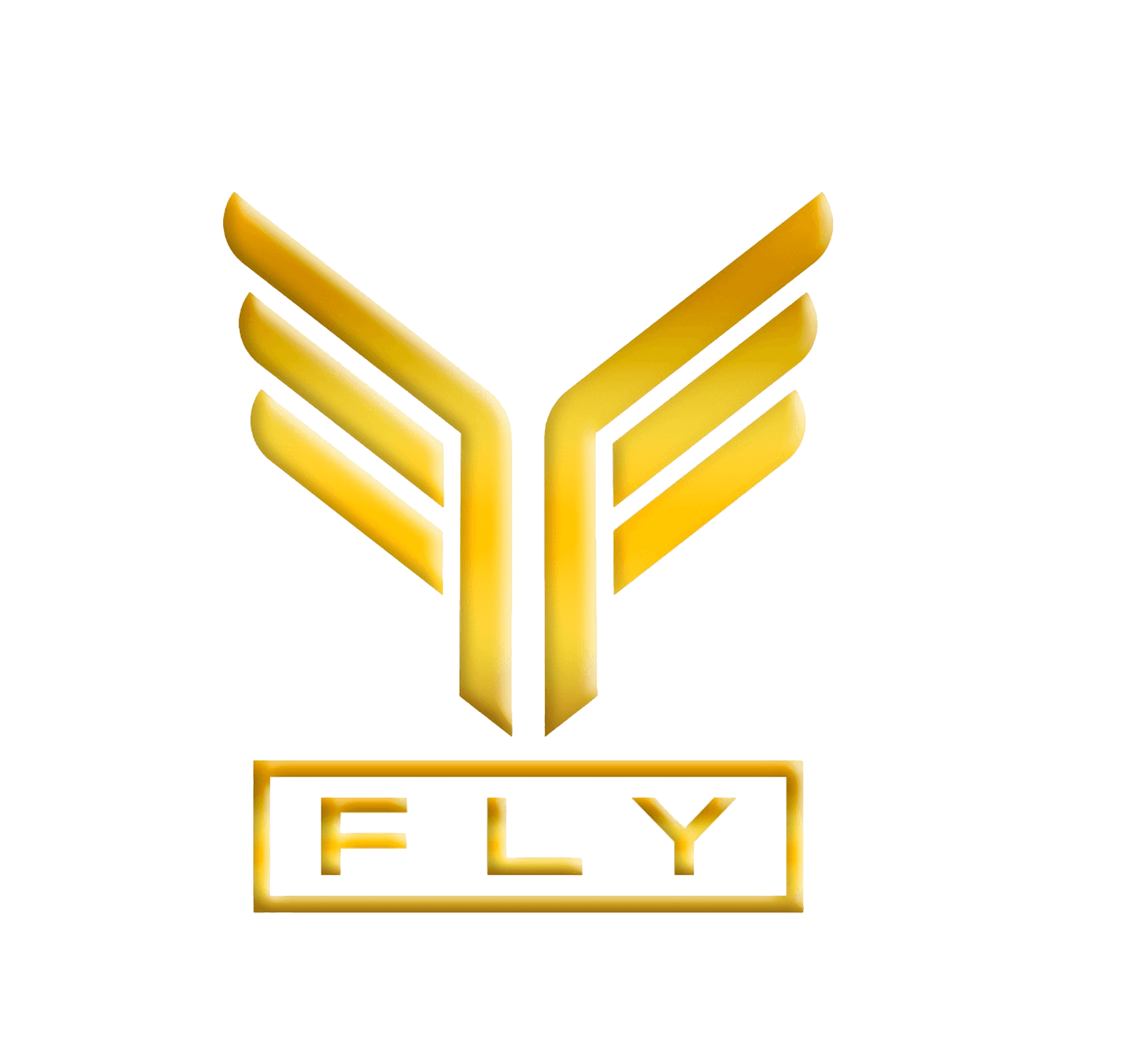 FLY
